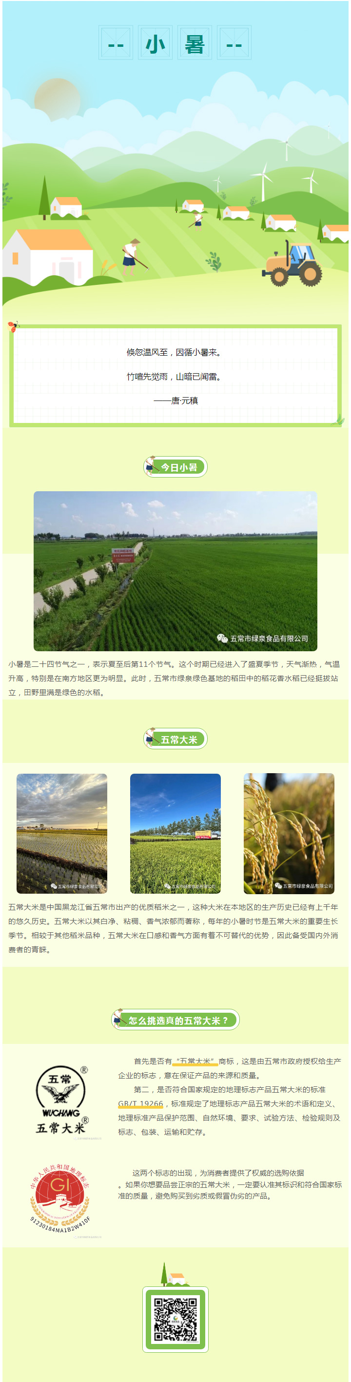 小暑冷知識(shí)——怎么挑選真正的五常大米？.jpg