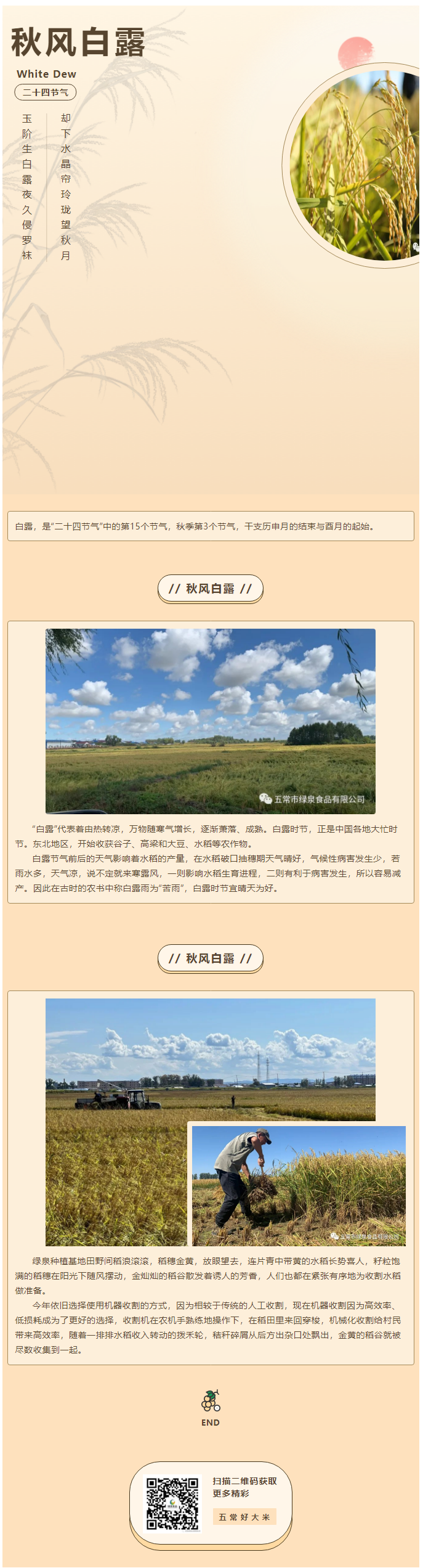 人間忽晚，山河已秋——水稻收割倒計(jì)時(shí)！.png